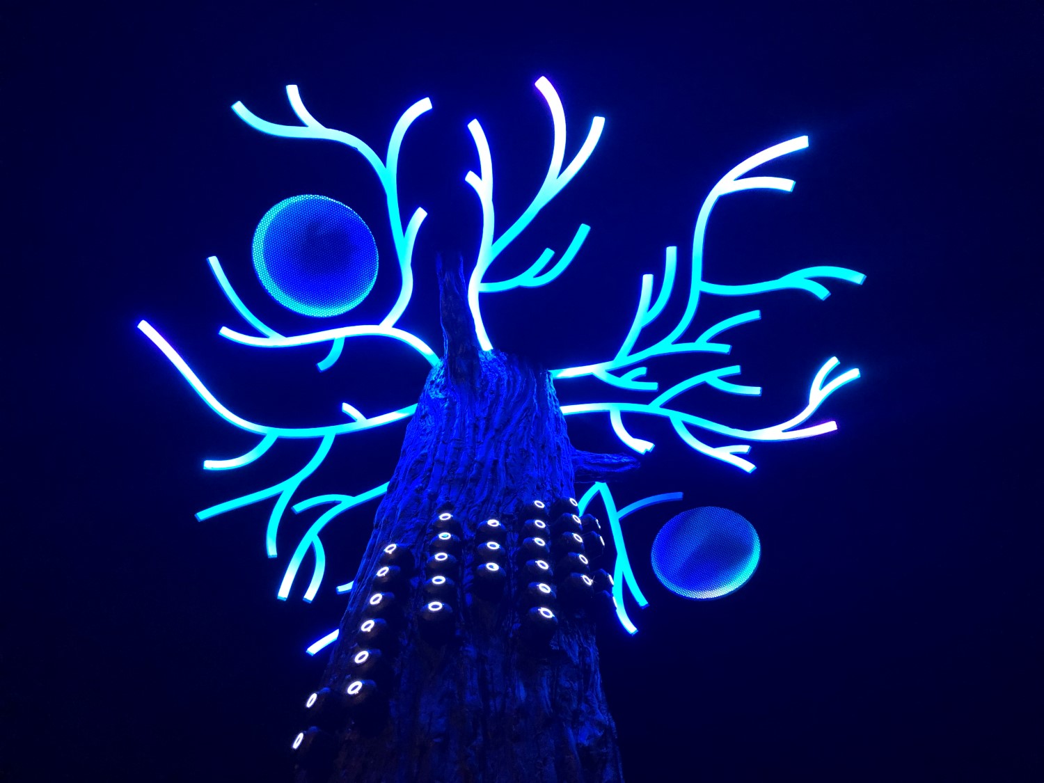 Singing Tree detail