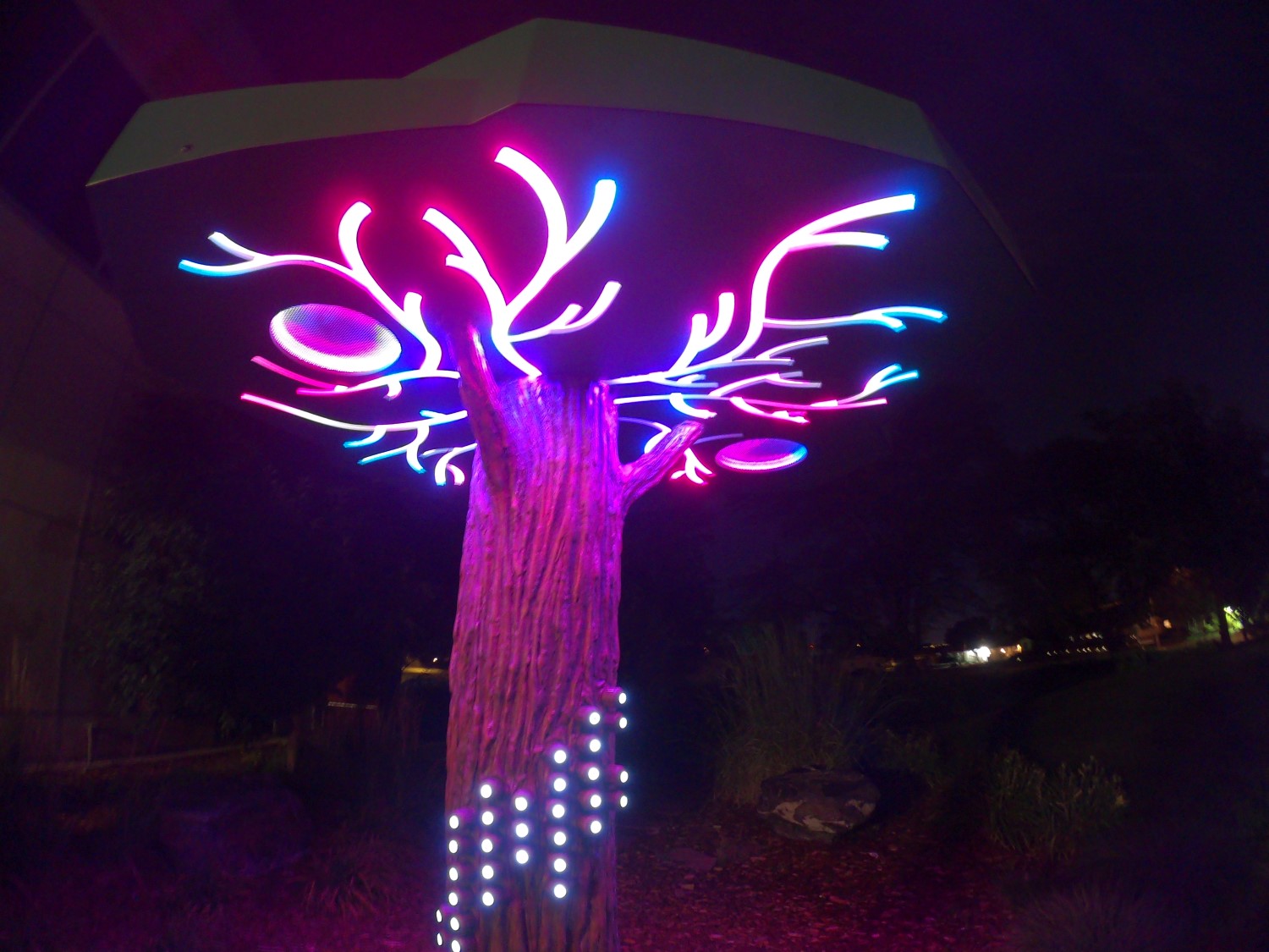 Singing Tree in library