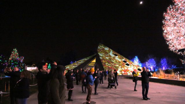 Alt Ethos Projection Mapping at Botanic Gardens Pyramid